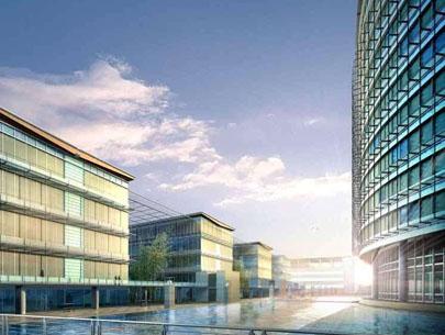 關(guān)于金環(huán)