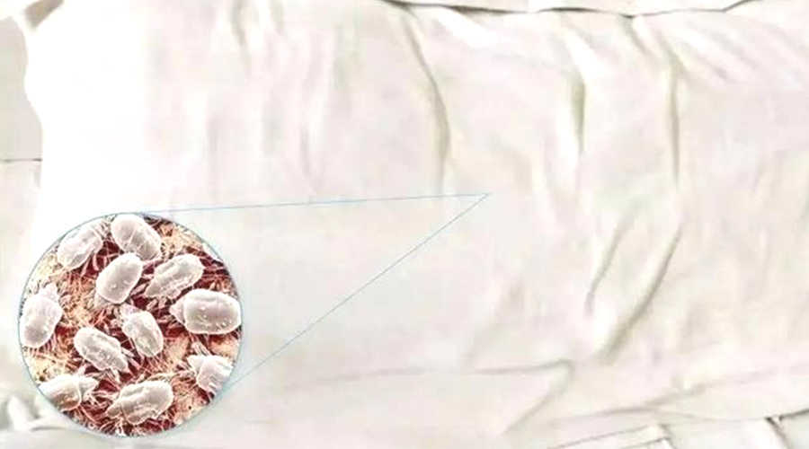 用戶關(guān)注：塵螨過(guò)敏者有必要使用滾筒衣服烘干機(jī)嗎