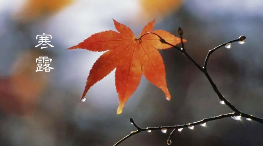 寒露時(shí)節(jié)！金環(huán)電器提醒大家要注意的事項(xiàng)