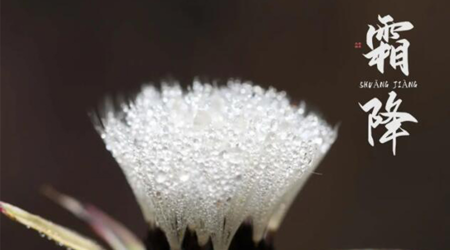 霜降時節(jié)！金環(huán)電器提醒大家要注意的事項