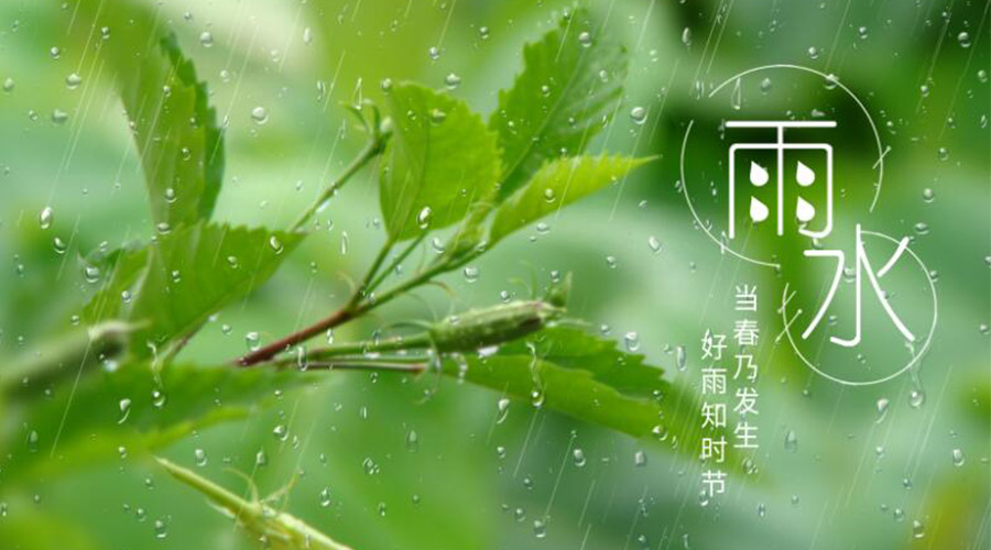 雨水時(shí)節(jié)！金環(huán)電器提醒大家要注意的事項(xiàng)